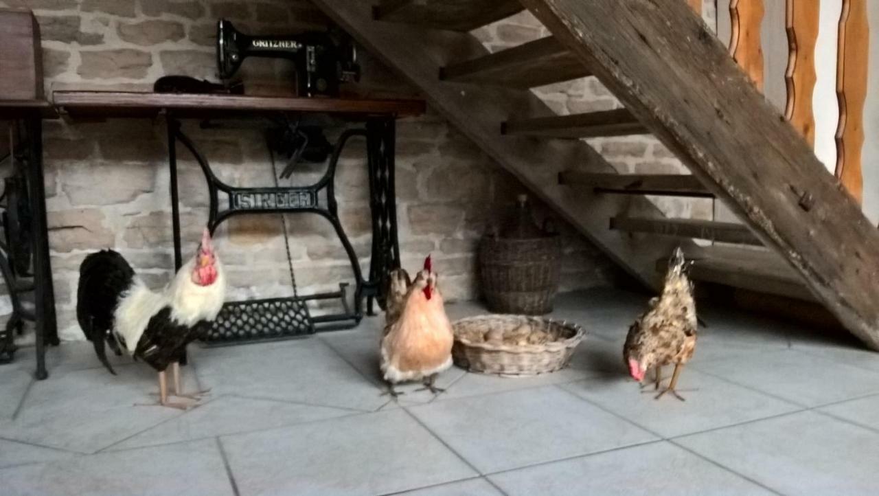 퐁-데-보 La Ferme Du Grand Faubourg B&B 외부 사진